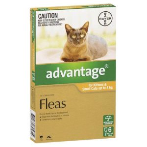 Advantage Cat 4kg (6 Pack)