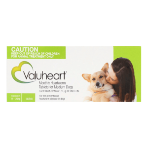 Valuheart GÇô Medium (green)